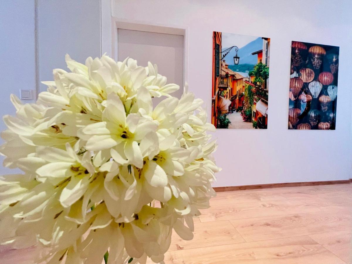 Colorful & Quiet Apartment In Beautiful Viennese Building Екстер'єр фото